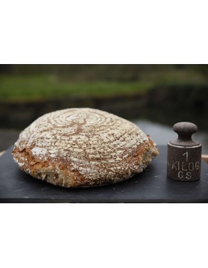 Pain gris cuit sur pierre