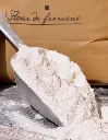 pelle fleur de froment.webp